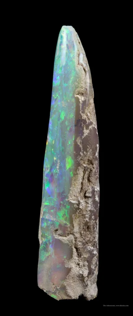 Opal Replacement Of Belemnite Fossil - image 2