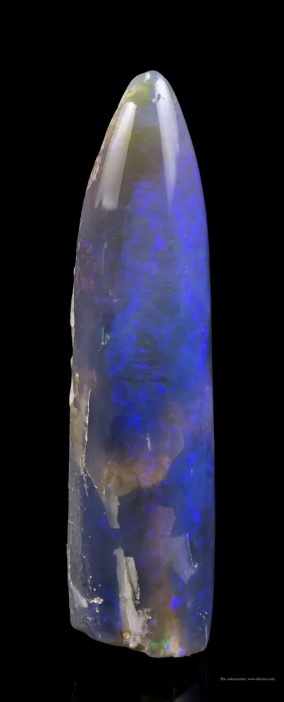 Opal Replacement Of Belemnite Fossil - image 6