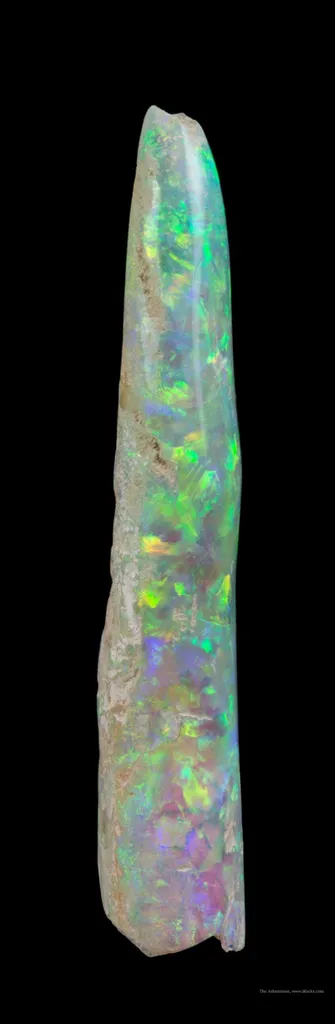 Opal Replacement Of Belemnite Fossil - image 3