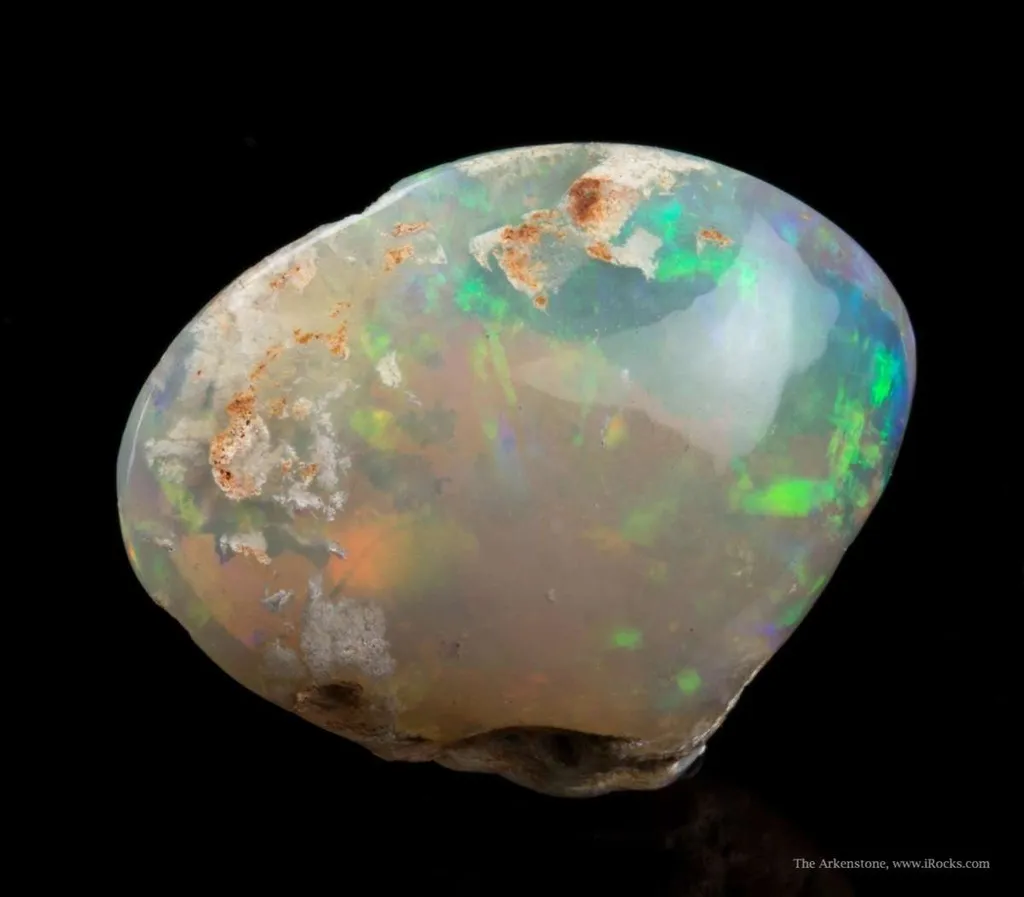 Opal Replacement Of Clam Fossil - image 3