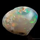 Opal Replacement Of Clam Fossil - image 3