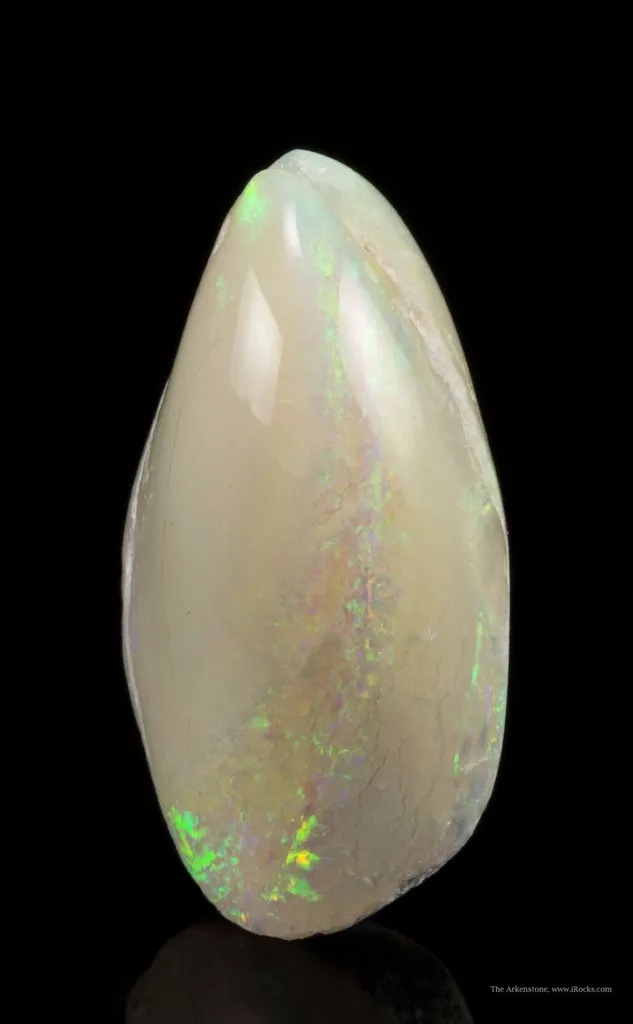 Opal Replacement Of Clam Fossil - image 2