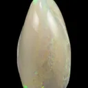 Opal Replacement Of Clam Fossil - image 2