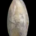 Opal Replacement Of Clam Fossil - image 3