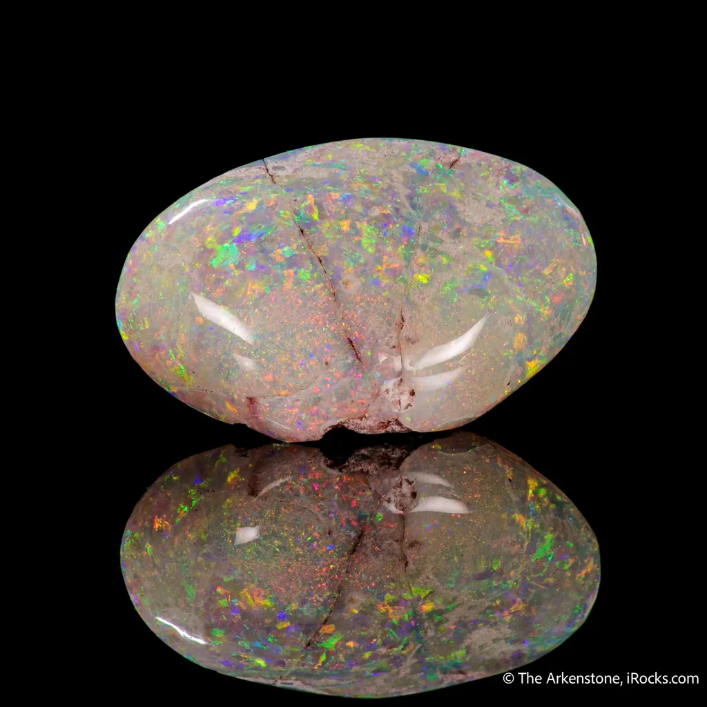 Opal replacement of Clam Fossil image