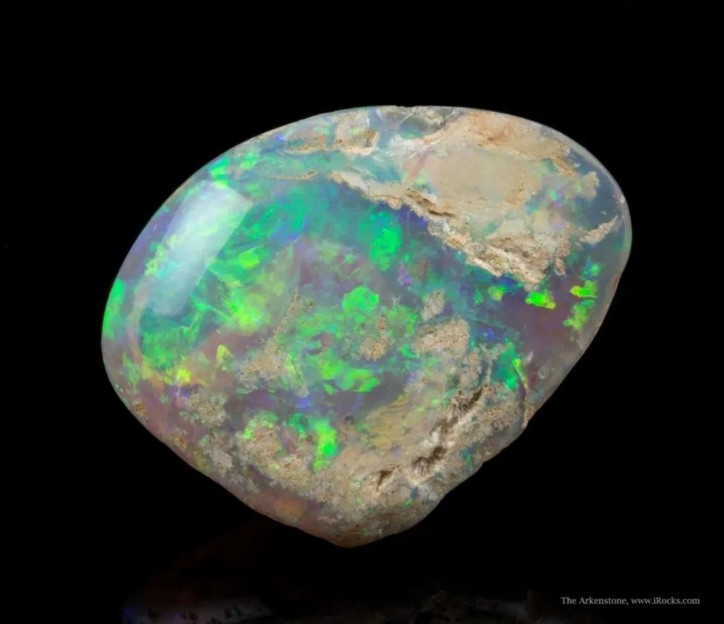 Opal Replacement Of Clam Fossil image