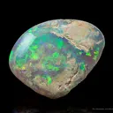 Opal Replacement Of Clam Fossil - image 1