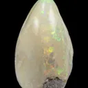 Opal Replacement Of Clam Fossil - image 4