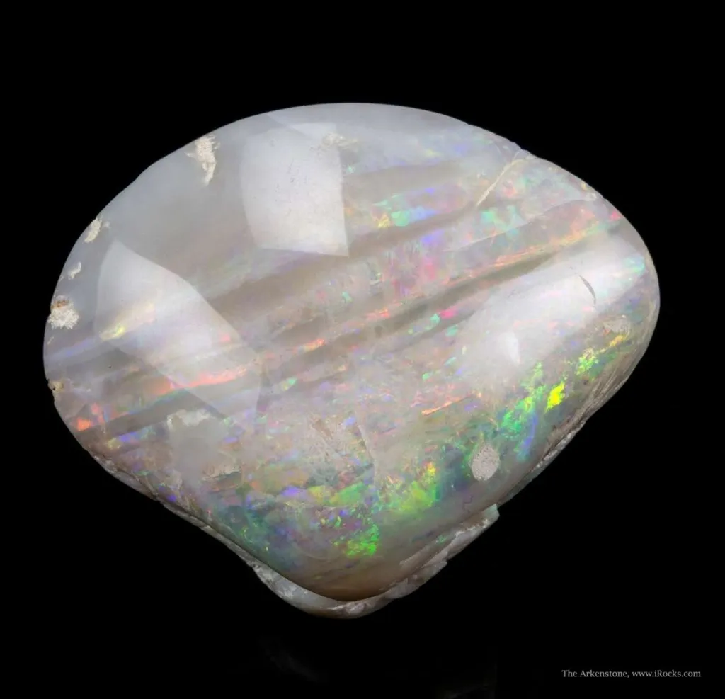 Opal Replacement Of Clam Fossil - image 3