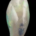 Opal Replacement Of Clam Fossil - image 4