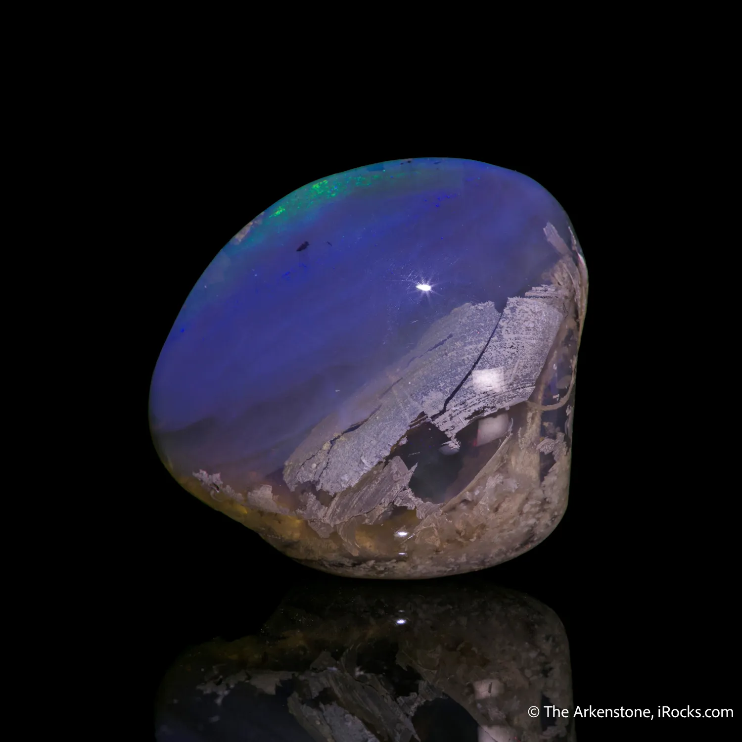 Opal replacement of Clam Fossil - image 4