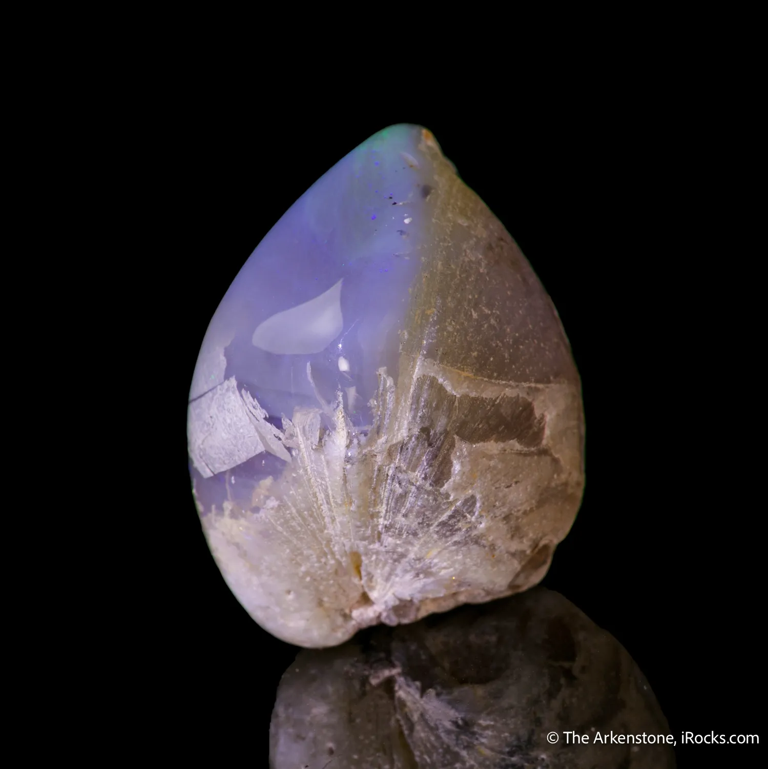 Opal replacement of Clam Fossil - image 6