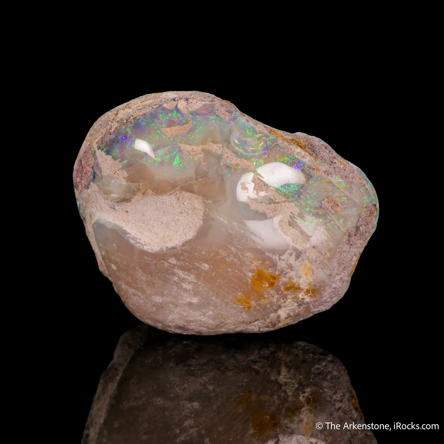 Opal replacement of Clam Fossil - image 4