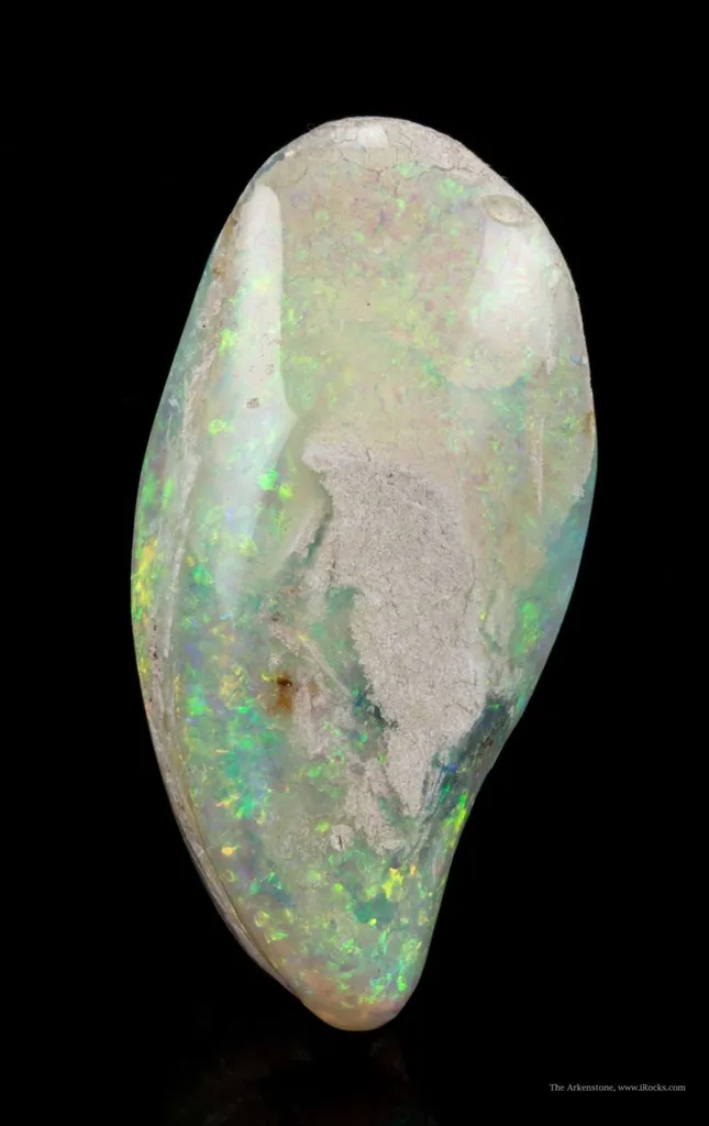 Opal Replacement Of Clam Fossil - image 3