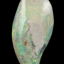 Opal Replacement Of Clam Fossil - image 3