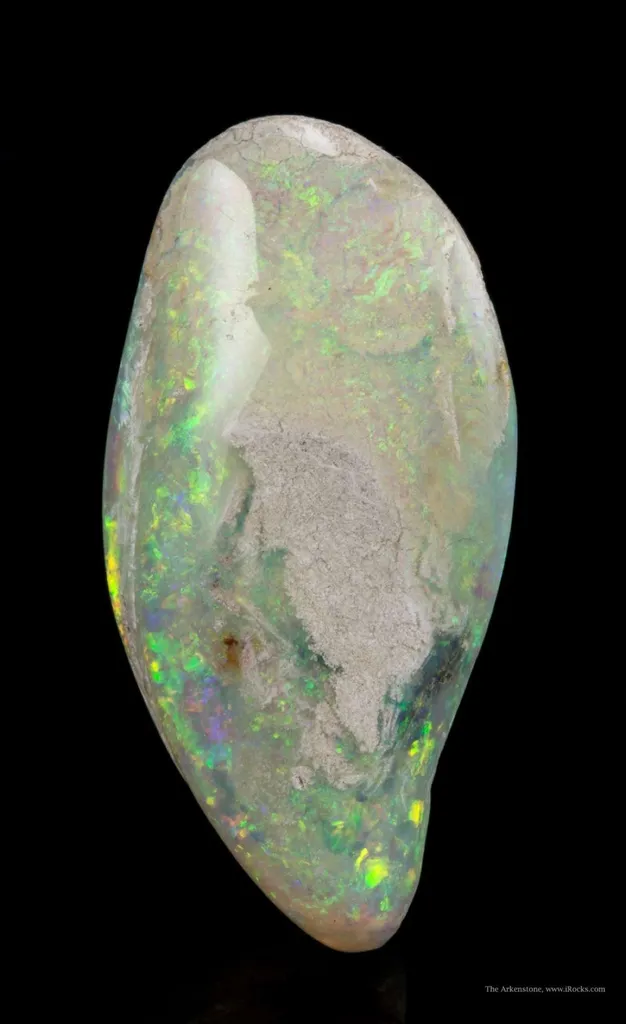 Opal Replacement Of Clam Fossil - image 2