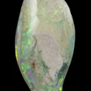 Opal Replacement Of Clam Fossil - image 2