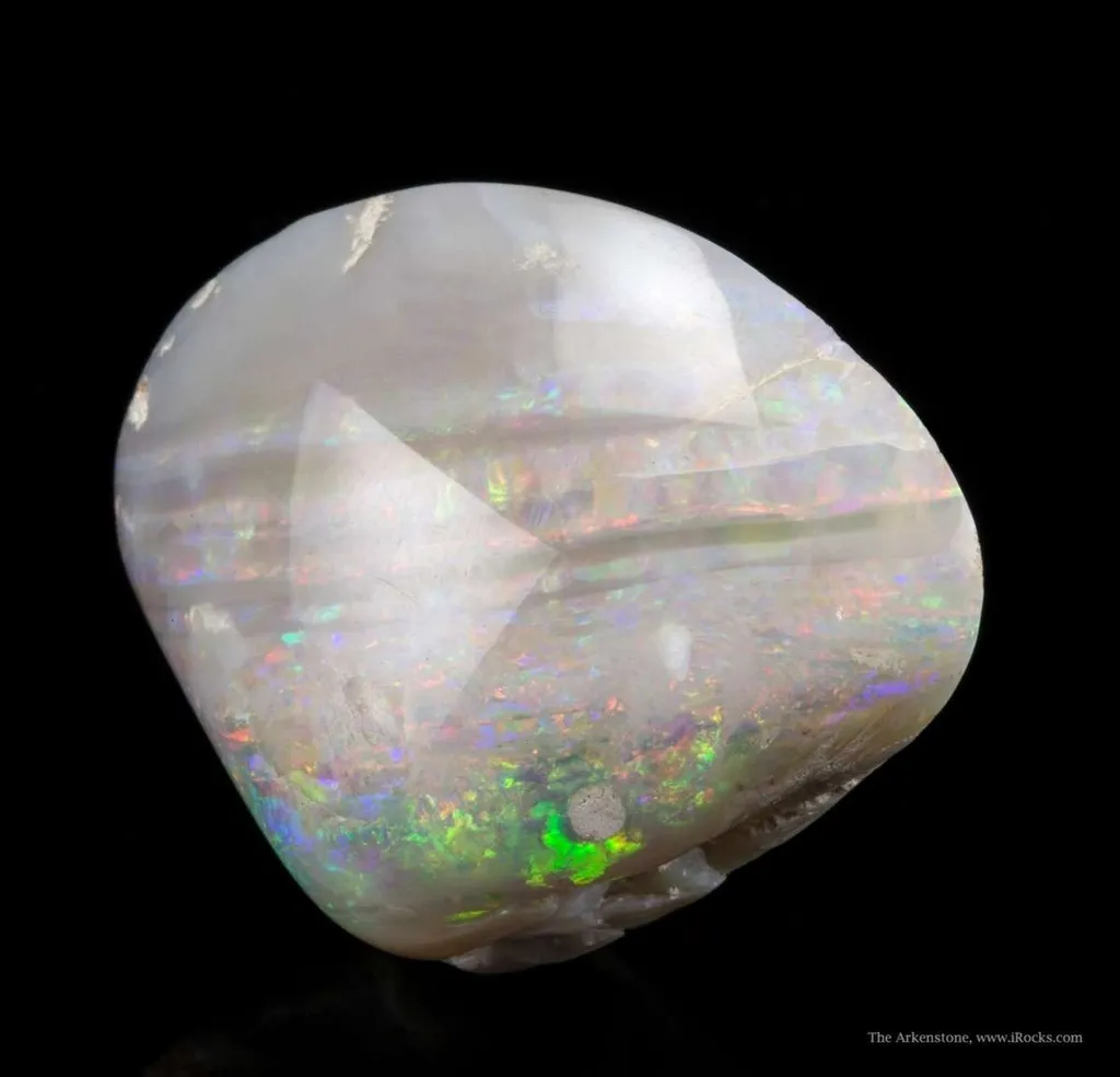 Opal Replacement Of Clam Fossil - image 2