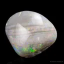Opal Replacement Of Clam Fossil - image 2
