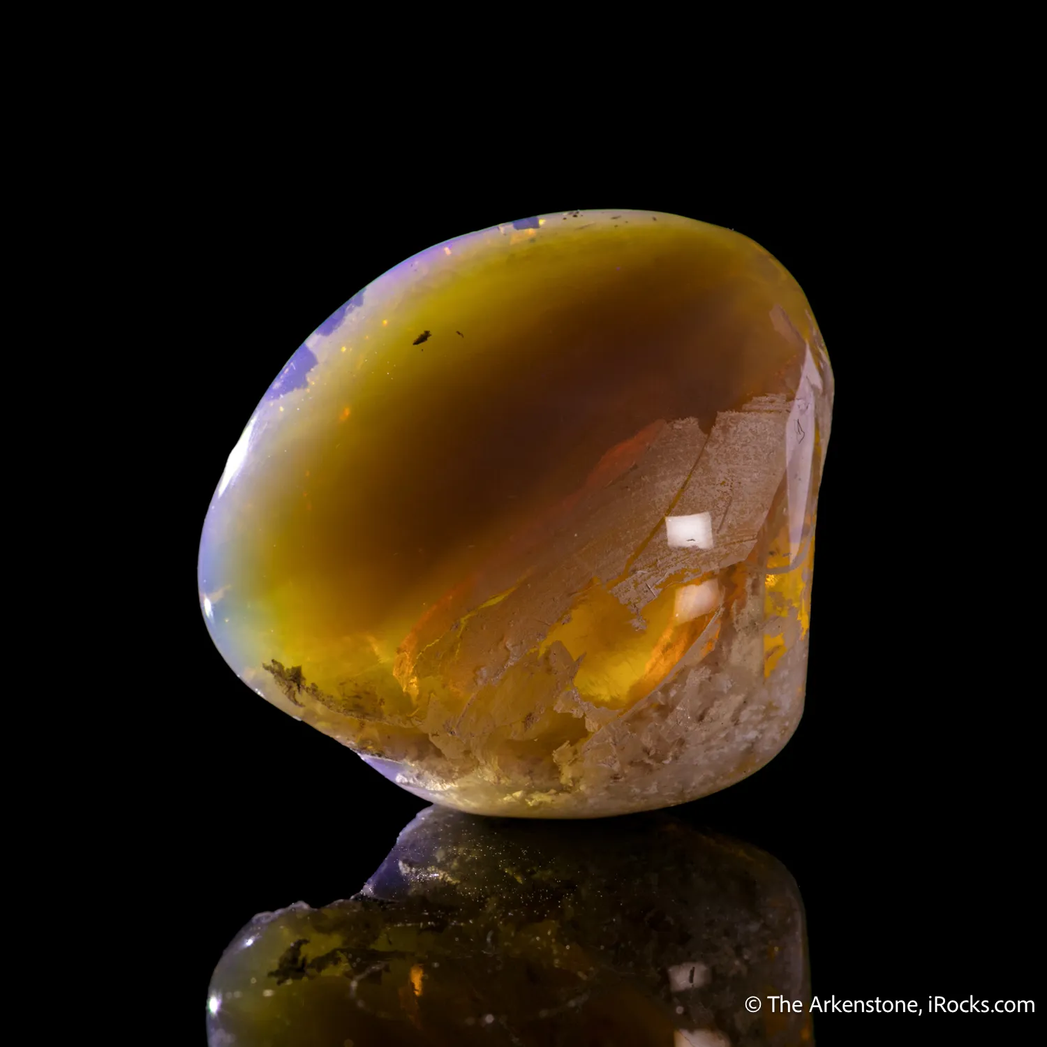 Opal replacement of Clam Fossil - image 5