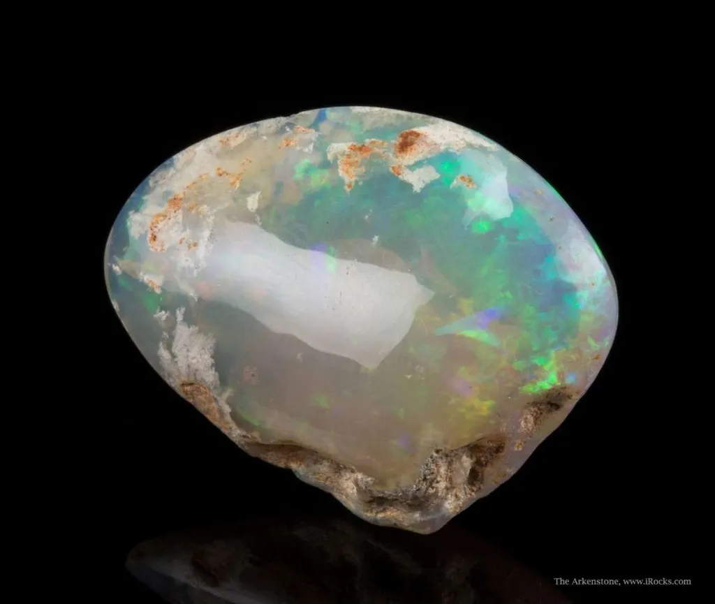 Opal Replacement Of Clam Fossil - image 2