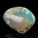 Opal Replacement Of Clam Fossil - image 2
