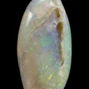 Opal Replacement Of Clam Fossil - image 1