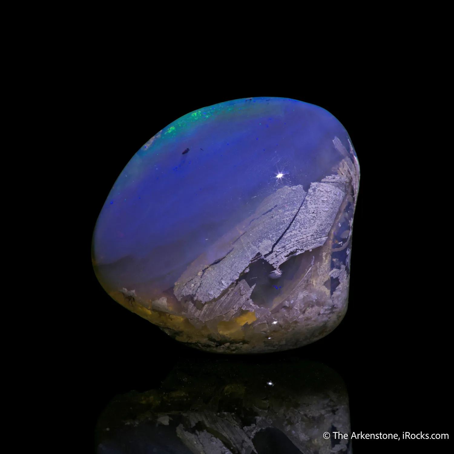 Opal replacement of Clam Fossil - image 1