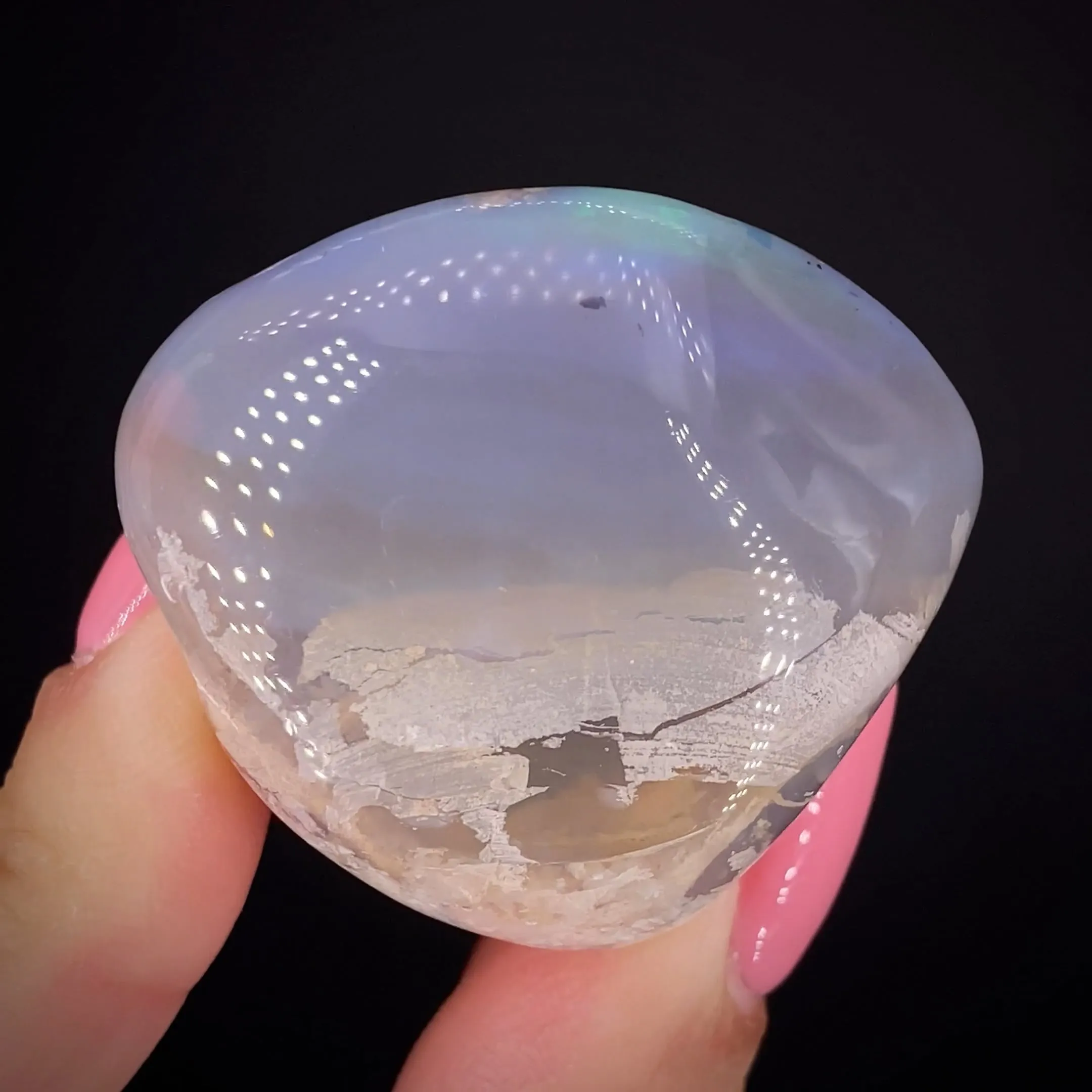 Opal replacement of Clam Fossil - image 2