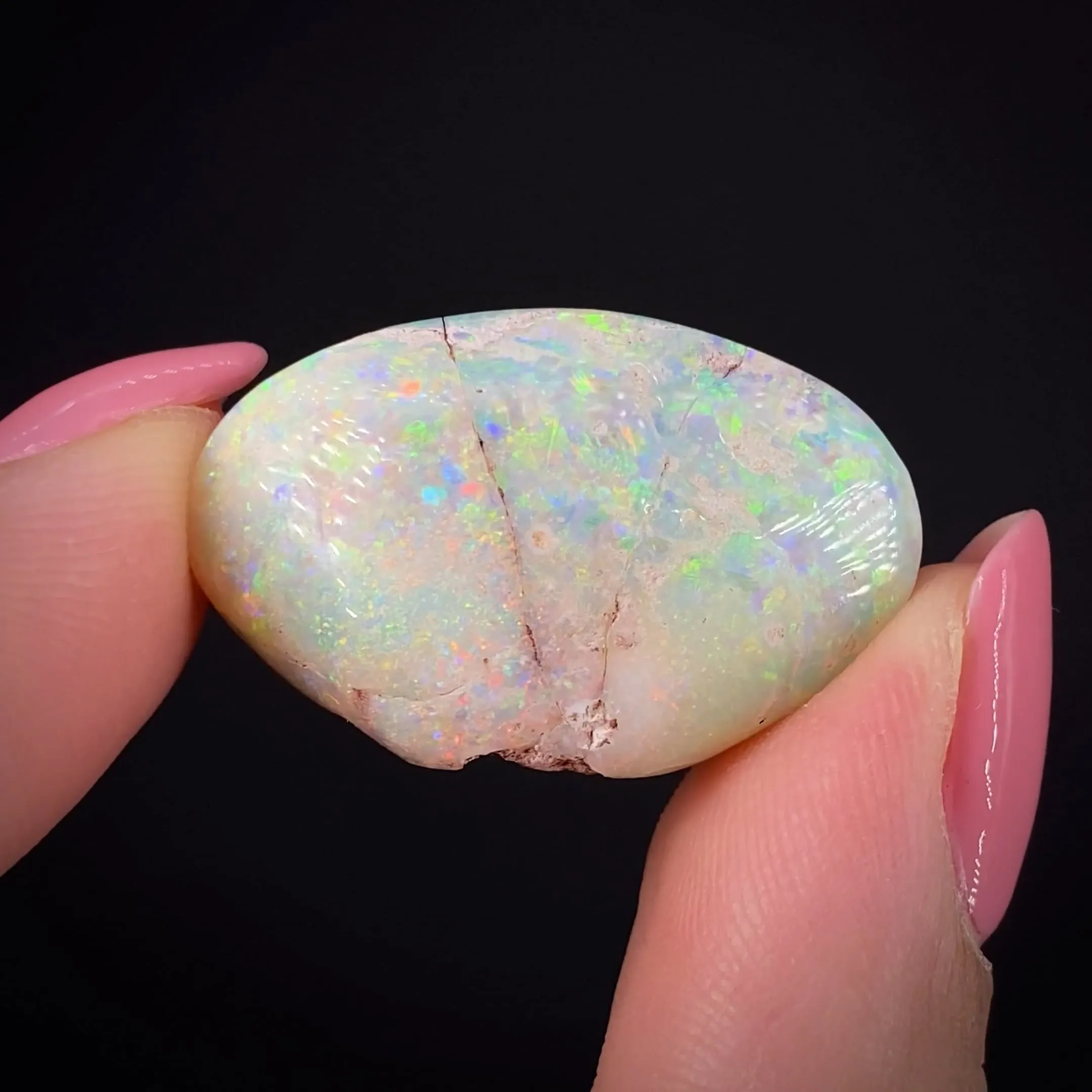 Opal replacement of Clam Fossil - image 2