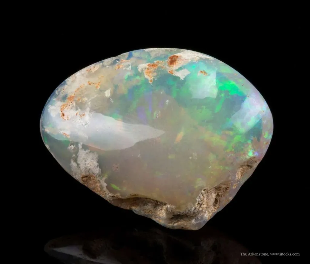 Opal Replacement Of Clam Fossil - image 4