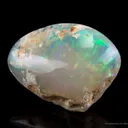 Opal Replacement Of Clam Fossil - image 4