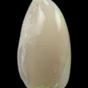 Opal Replacement Of Clam Fossil - image 3