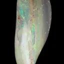 Opal Replacement Of Clam Fossil - image 1