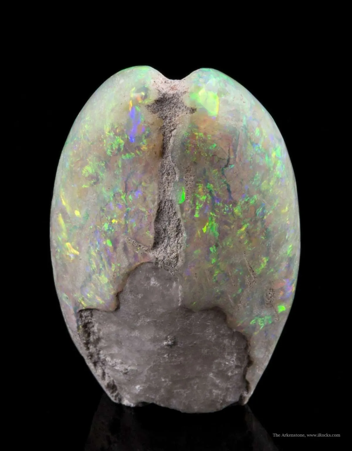 Opal Replacement Of Clam Fossil - image 1