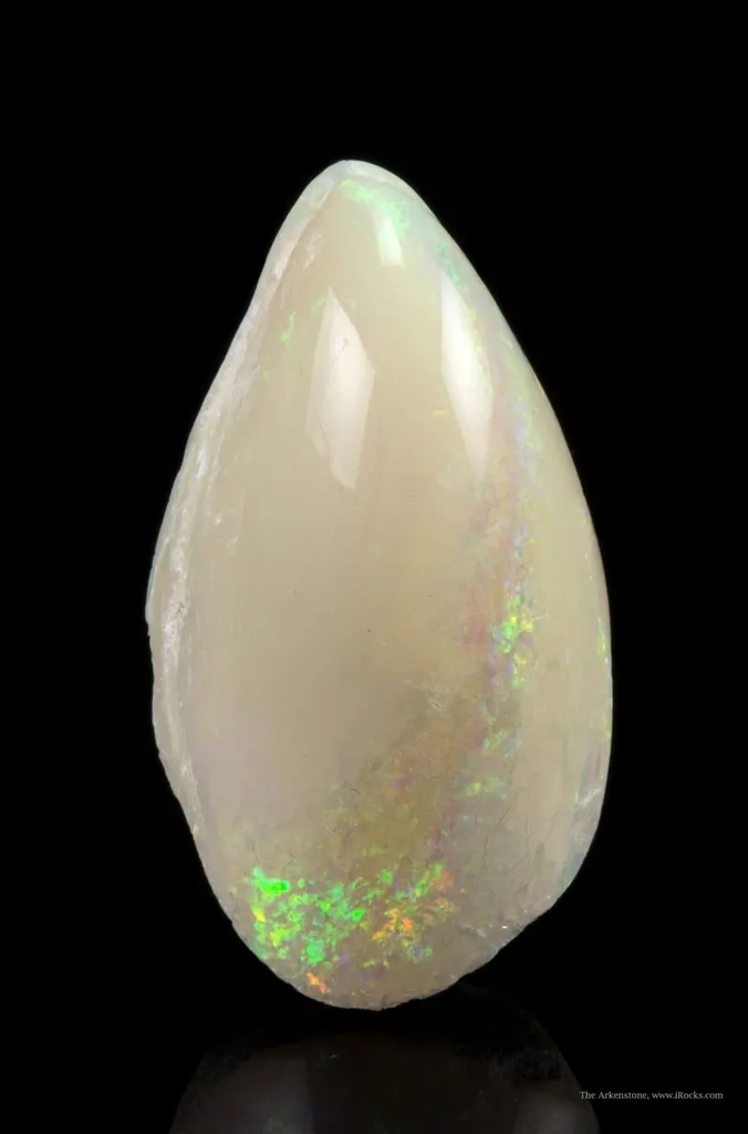 Opal Replacement Of Clam Fossil - image 5