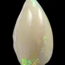 Opal Replacement Of Clam Fossil - image 5