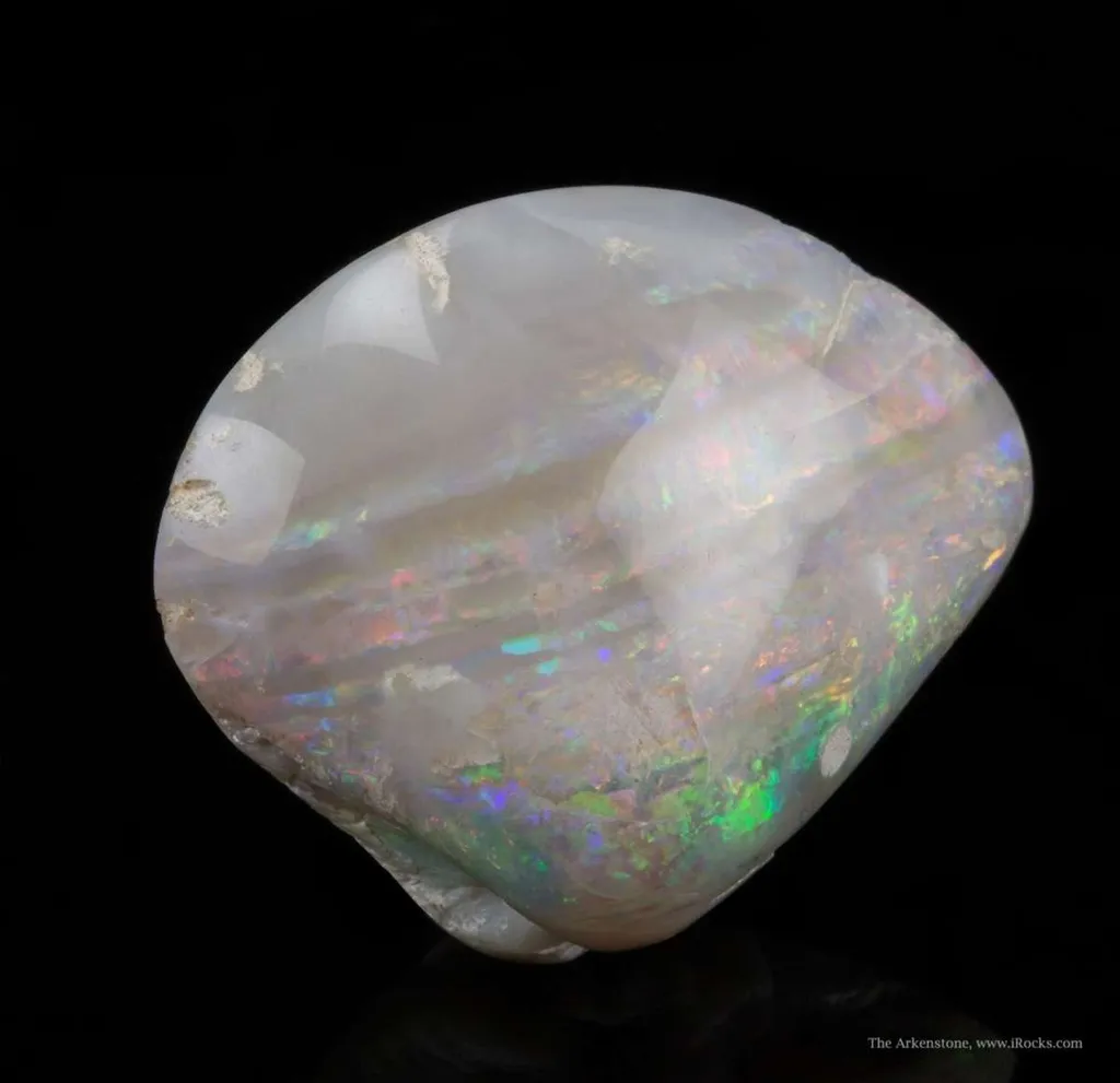 Opal Replacement Of Clam Fossil - image 4