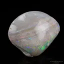 Opal Replacement Of Clam Fossil - image 4