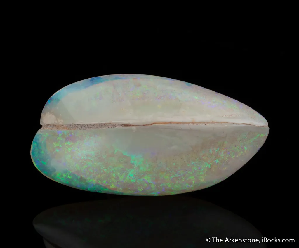Opal replacing Bivalve image