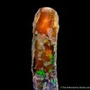 Opal replacing fossil tree limb - image 1