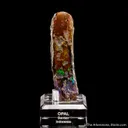 Opal replacing fossil tree limb - image 2