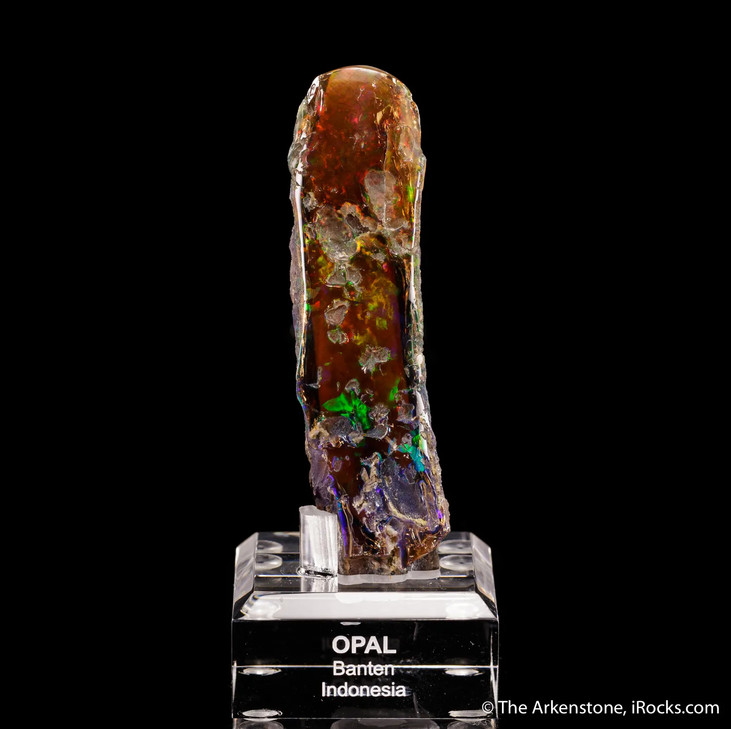 Opal replacing fossil tree limb - image 2