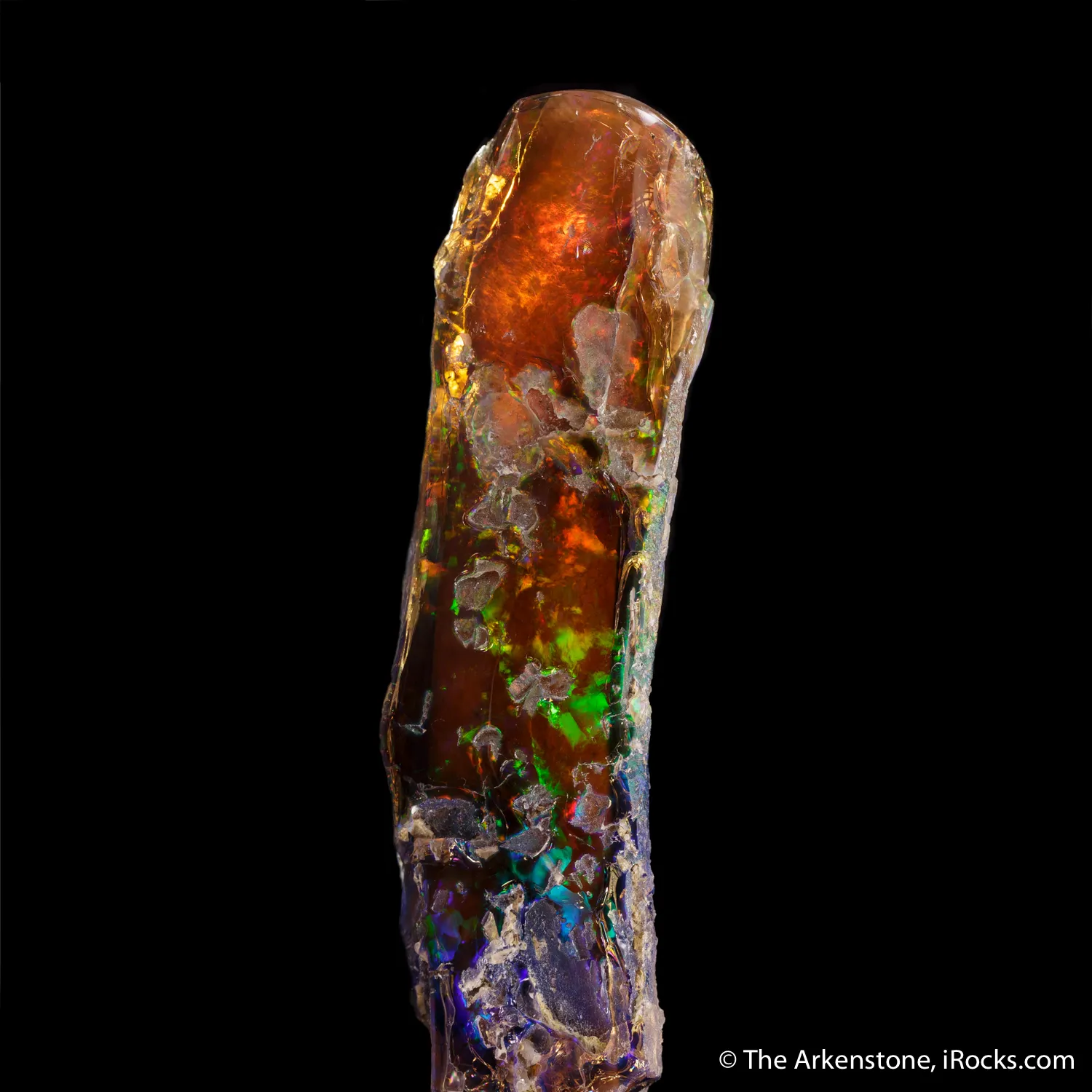 Opal replacing fossil tree limb - image 3