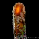 Opal replacing fossil tree limb - image 4