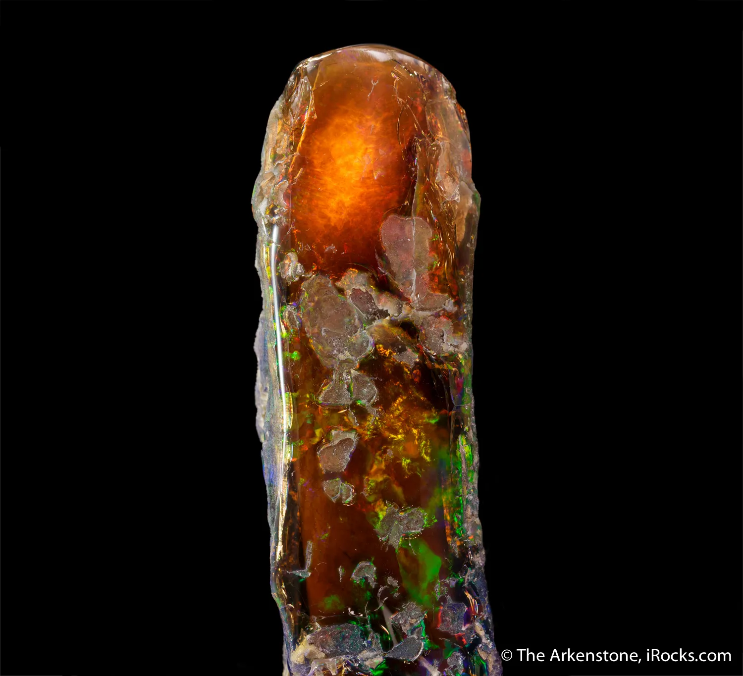 Opal replacing fossil tree limb - image 4
