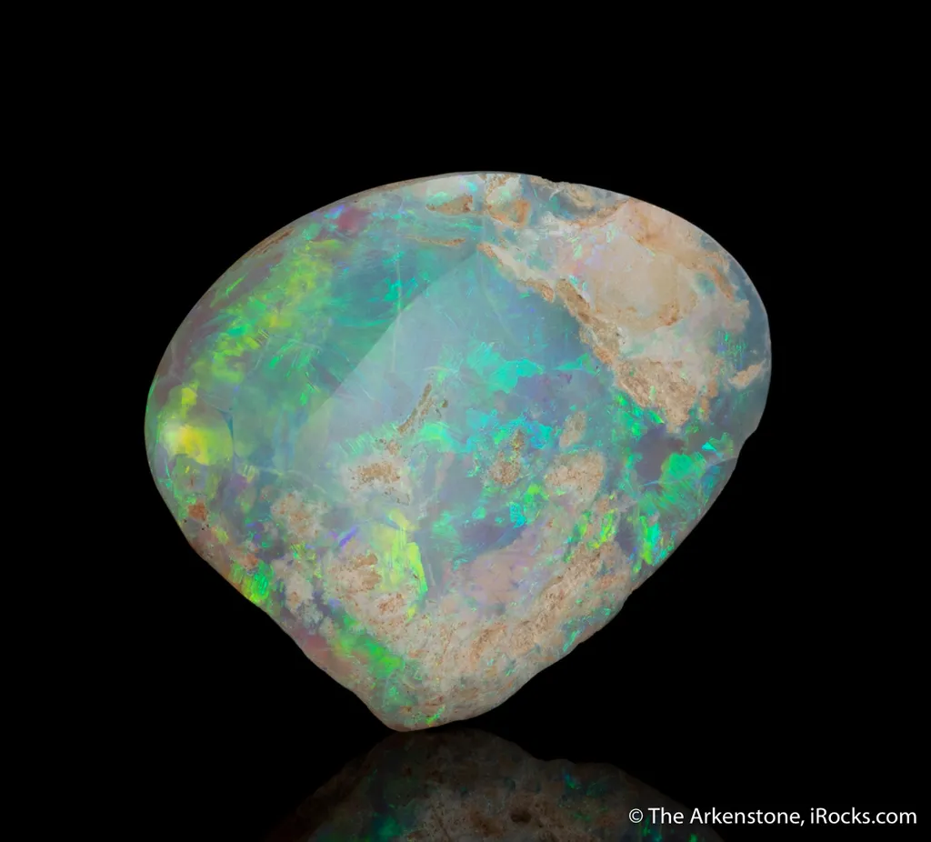 Opal replacing Mollusk fossil - image 3