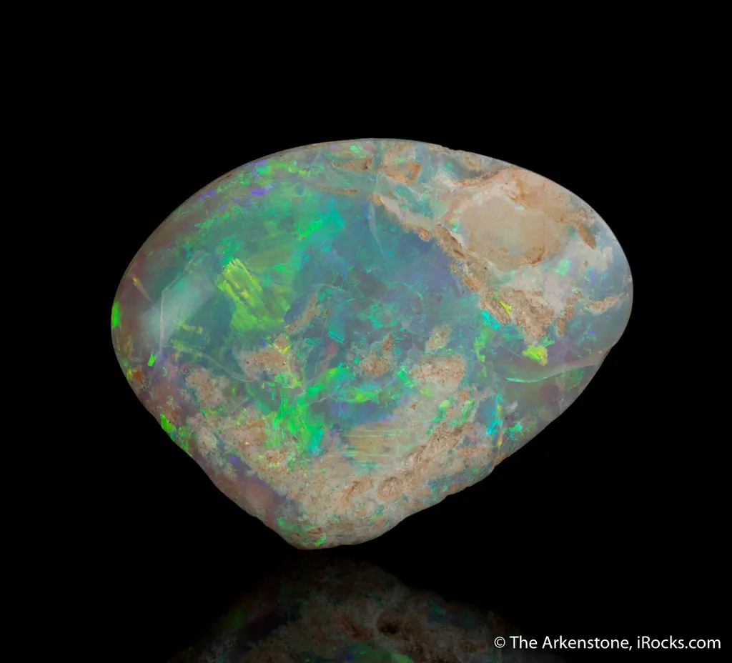 Opal replacing Mollusk fossil - image 2