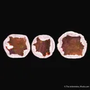 Opal (sliced, complete nodule) - image 1
