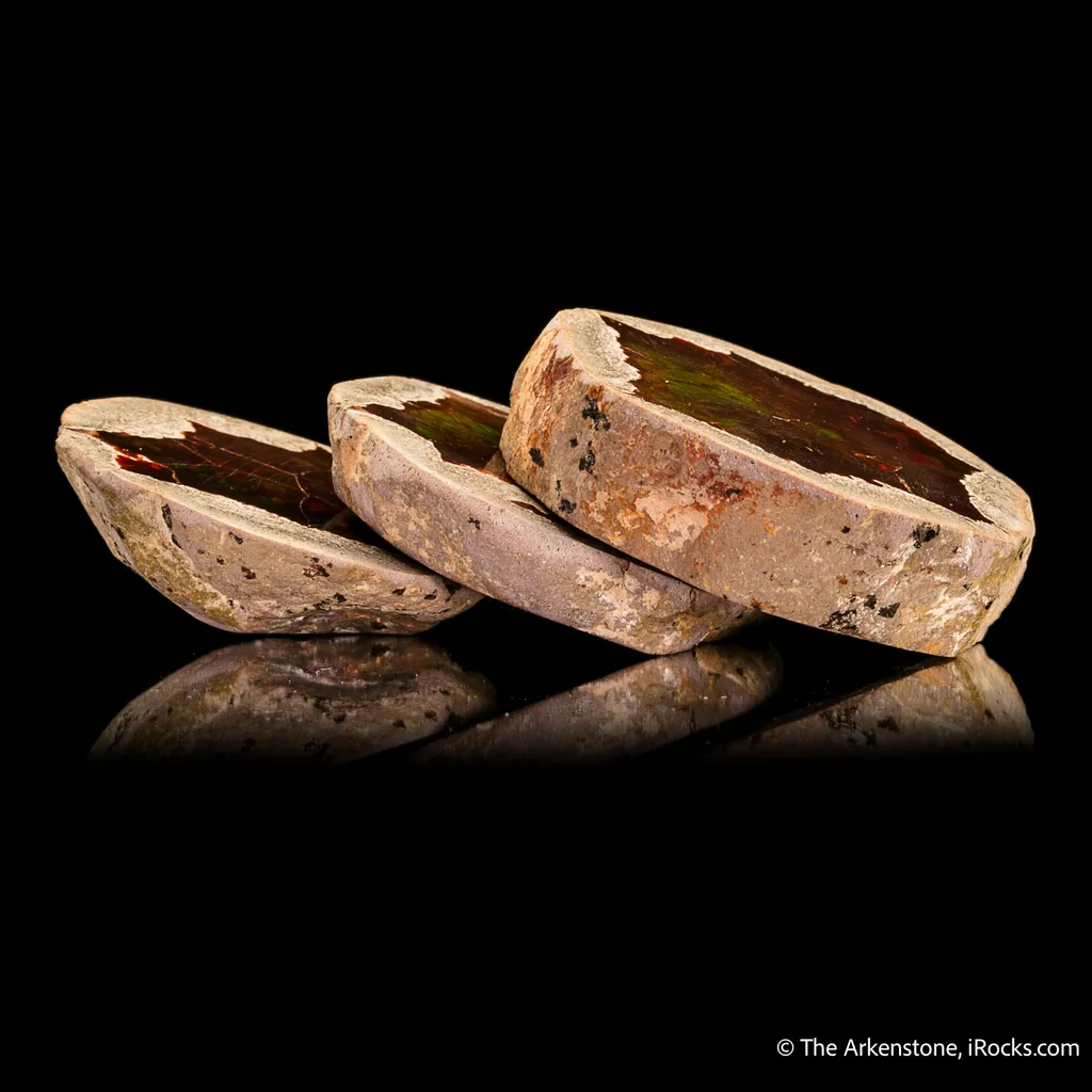 Opal (sliced, complete nodule) - image 4